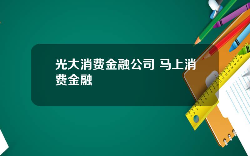 光大消费金融公司 马上消费金融